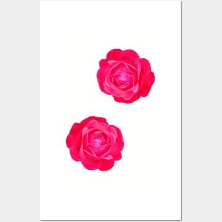 Two pink roses Posters and Art